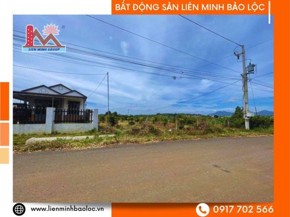 BLD80-Bán Đất Mặt Tiền Đambri Bảo Lộc