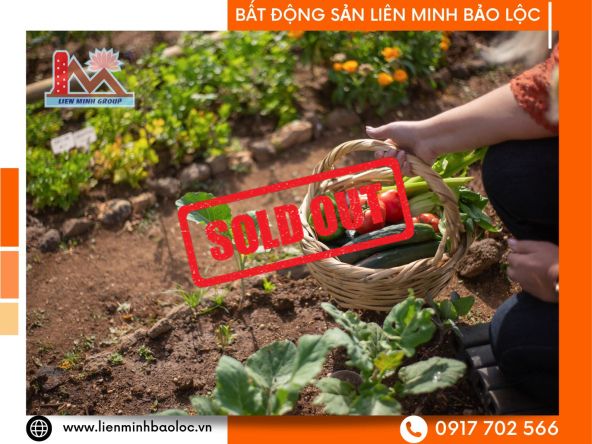 BLT76-Cho Thuê Nhà Vườn 3000m2 Dambri