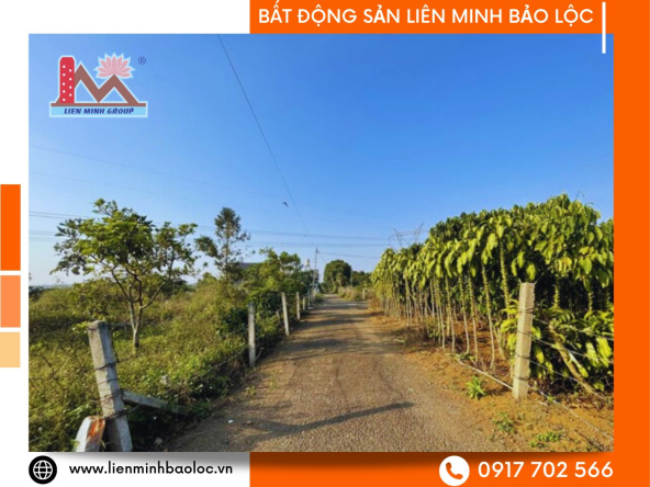 BLD424-Bán Đất Trung Tâm Lộc Tiến Bảo Lộc