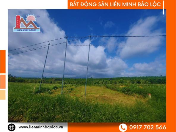 BLD466-Bán Đất Đoàn Thị Điểm Bảo Lộc
