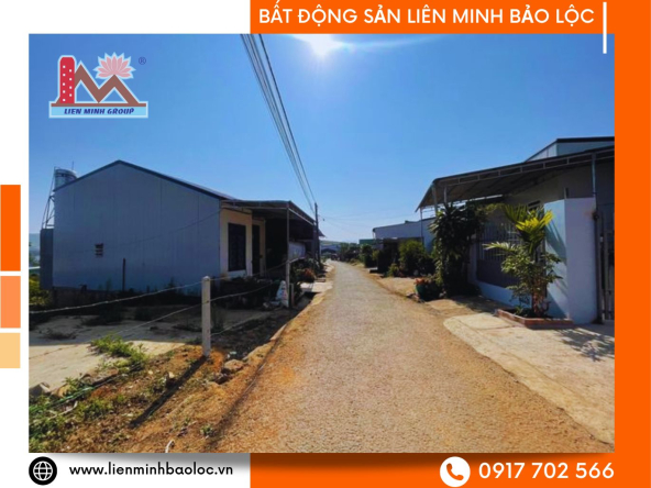 BLD487-Bán Đất Thổ Cư Đại Lào Bảo Lộc