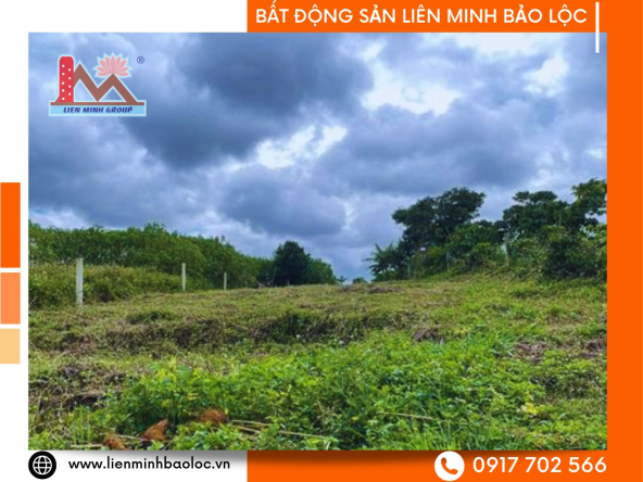 BLD105-Bán Đất Thổ Cư Đambri Bảo Lộc