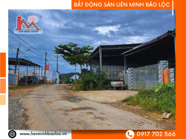 BLD115-Bán Đất Mặt Tiền Sẵn Thổ Cư Bảo Lộc