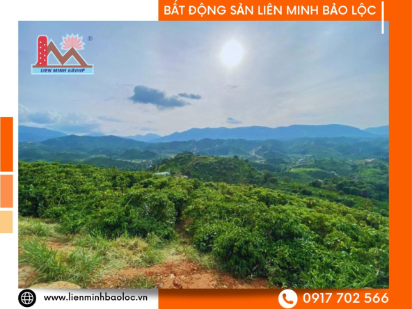 BLD197-Đất View Đồi Bát Up Lộc Thành Bảo Lộc (400tr/Sào)