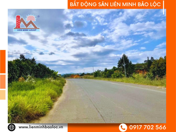 BLD318-Đất Mặt Tiền Đường Tránh QL20 Bảo Lộc
