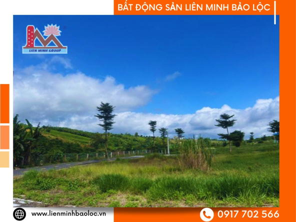 BLD41-Bán Đất Full Thổ Cư Park Hill Bảo Lộc