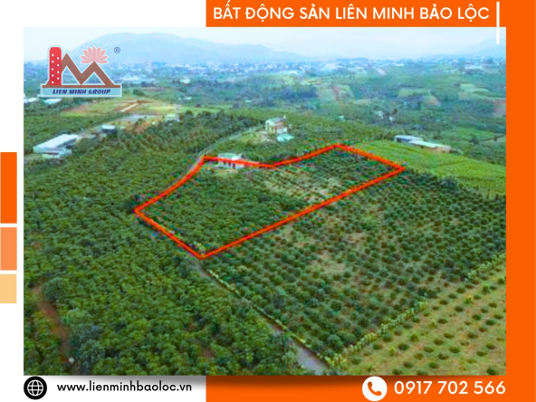 BLD602-Bán Đất Trung Tâm Lộc Tiến Bảo Lộc