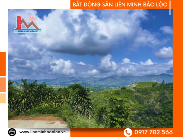 BLD678-Đất Tân Lạc Bảo Lâm Chỉ 205 Triệu 1 Sào