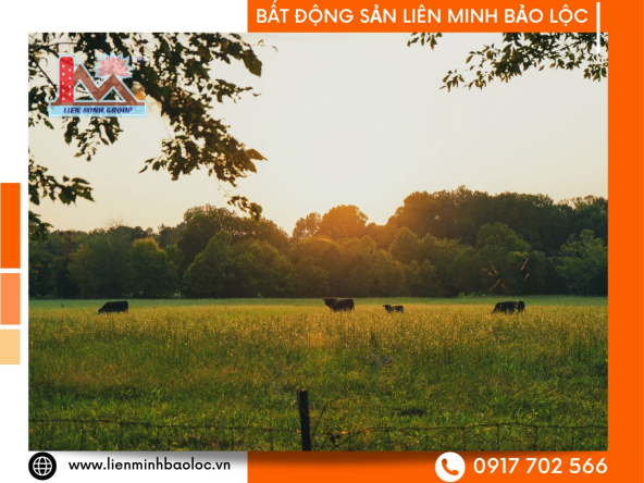 BLD78-Bán Đất Mặt Tiền Sẵn Thổ Cư Lộc Quảng Bảo Lâm