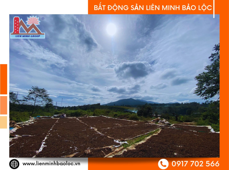 Đất Bảo Lộc gần quốc lộ giá rẻ