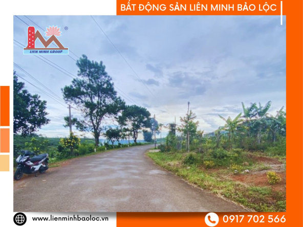 BLD108-Bán Đất Lộc Quảng Bảo Lâm Hơn 1000m2