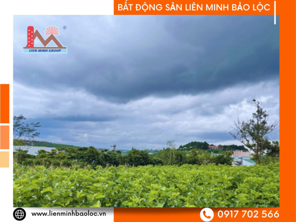 BLD129-Bán Đất Thổ Cư Đường Lý Thái Tổ Bảo Lộc