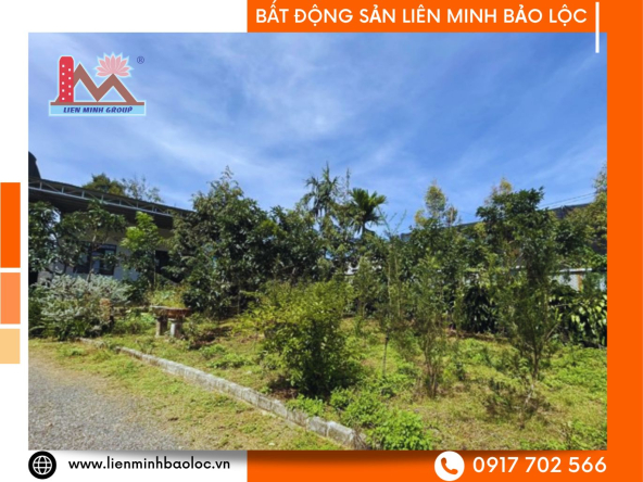 BLD224-Bán 2 Lô Đất Lộc Tiến Bảo Lộc