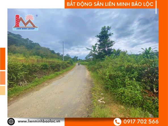 BLD243-Đất Mặt Tiền Sẵn Thổ Cư BlaoSire Đại Lào Bảo Lộc