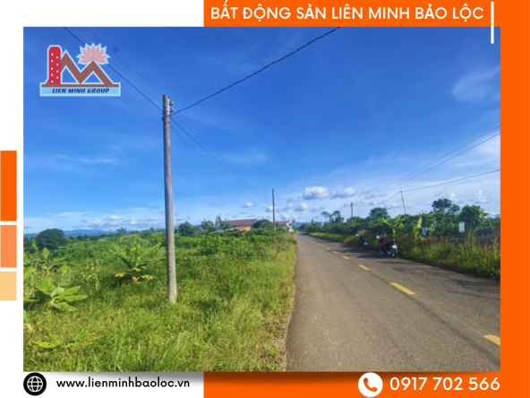 BLD278-Bán Đất Mặt Tiền Tân Lạc Di Linh