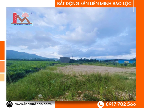 BLD34-Bán Đất Đại Lào Bảo Lộc Hơn 800m2