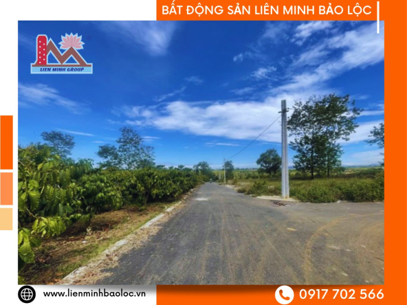 BLD472-Đất Mặt Tiền Tứ Quý Lộc An Bảo Lộc