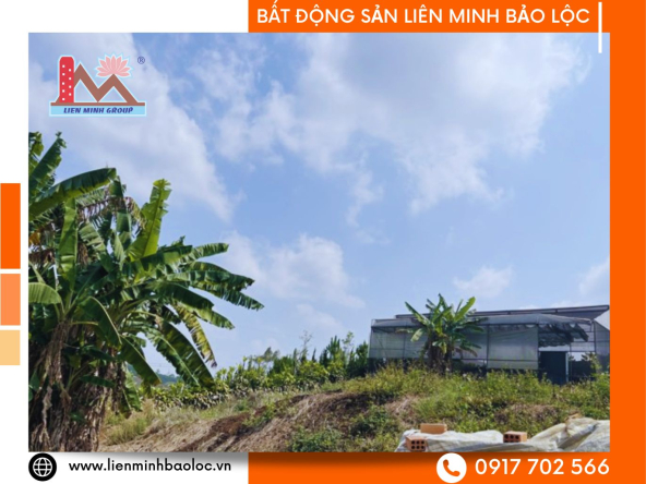 BLD575-Đất Trung Tâm Lộc Tiến Bảo Lộc