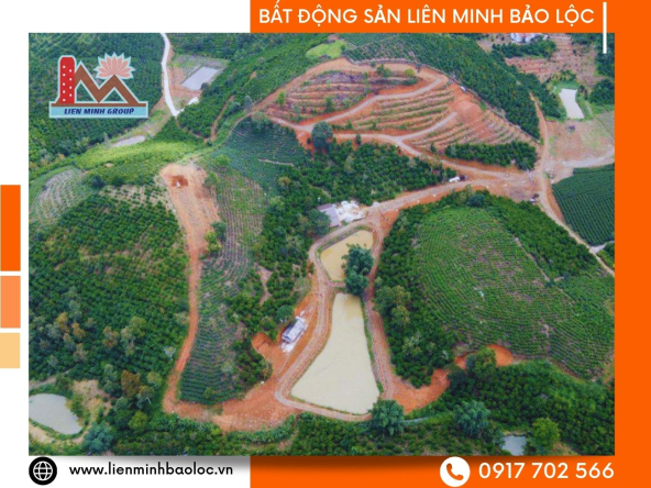 BLD599-Hơn 43 Héc Đất View Lộc Thành Bảo Lộc