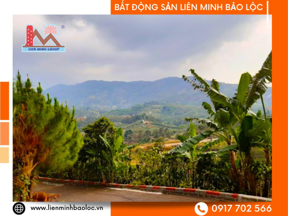 BLD603-Đất Thổ Cư Lộc Sơn Bảo Lộc 3688m2