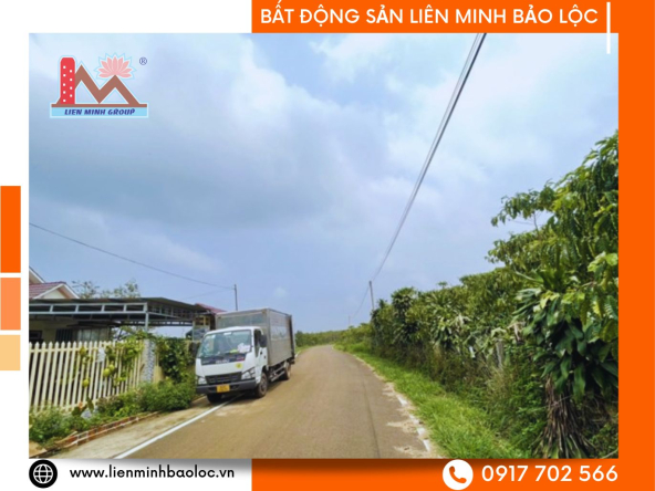 BLD613-Đất Mặt Tiền Đambri Bảo Lộc
