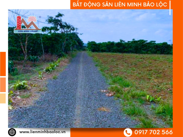 BLD622-Bán Đất Phan Chu Trinh Lộc Tiến Bảo Lộc