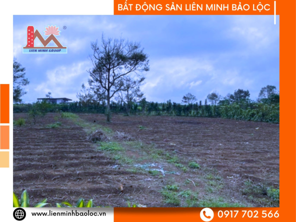 BLD623-Bán Đất Trung Tâm Lộc Tiến Bảo Lộc