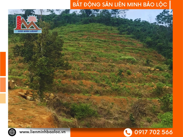 BLD741-Bán Lô Đất View Núi Đại Bình Bảo Lộc