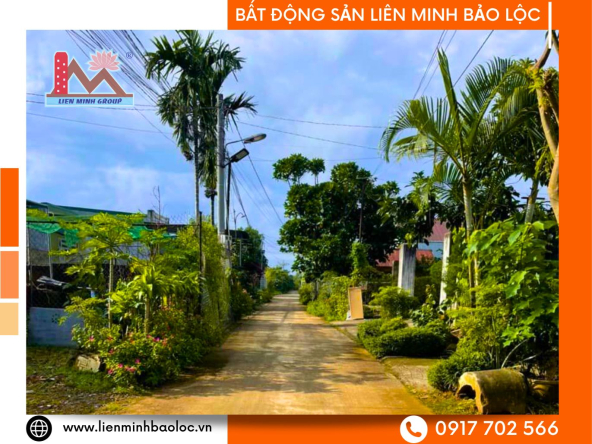 BLD743-Đất Nguyễn Đức Cảnh Lộc Phát Bảo Lộc