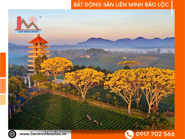 BLD746-Bán Đất Lý Thái Tổ Đambri Bảo Lộc