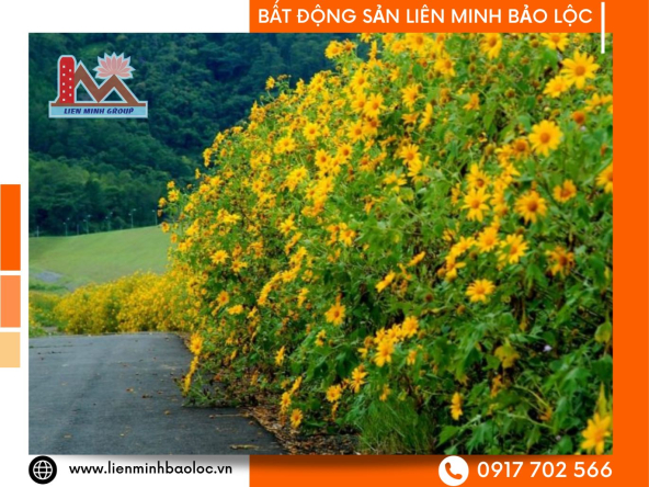 BLD749-Bán Đất Thổ Cư Trung Tâm Phường 2 Bảo Lộc