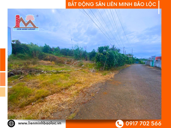 BLD782-Bán Đất Mặt Tiền Trần Quý Cáp Đambri Bảo Lộc