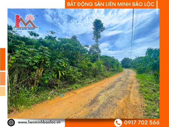 BLD792-Bán Đất Nền Đường Tránh Quốc Lộ 20 Lộc Sơn Bảo Lộc