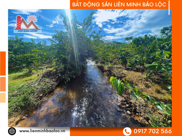 BLD796-Bán Đất Sào Thôn 1 Lộc Tân Bảo Lâm