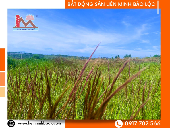 BLD825-Bán Đất Sẵn Thổ Cư Đambri Bảo Lộc