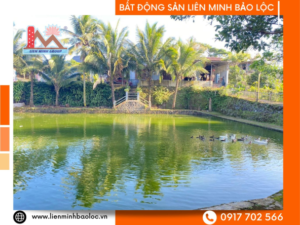 BLD831-Đất Phan Đình Phùng Lộc Tiến Bảo Lộc