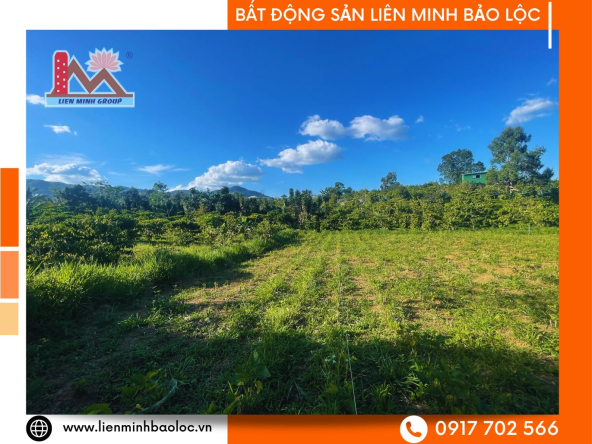 BLD843-Đất Nền Quốc Lộ 55 Lộc Thành Bảo Lộc
