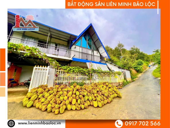 BLD845-Bán Hơn 6 Sào Đất Sầu Riêng Tân Lạc Bảo Lâm