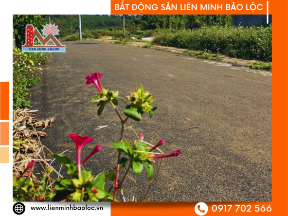 BLD847-Bán Đất Thổ Cư Lộc An Bảo Lộc