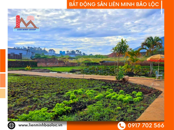 BLT320-Cho Thuê Nhà Sân Vườn Lộc Sơn Bảo Lộc