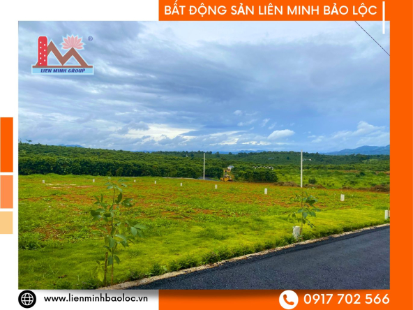 Bán Sỉ 12 Lô Cụm Dân Cư Bảo Lộc Giá Chỉ 4 Triệu/m2
