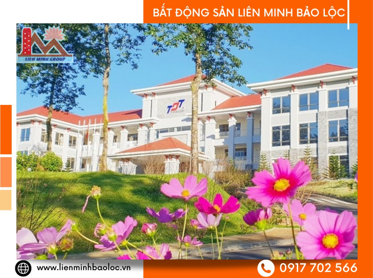 Bất động sản Bảo Lộc gần trường đại học Tôn Đức Thắng