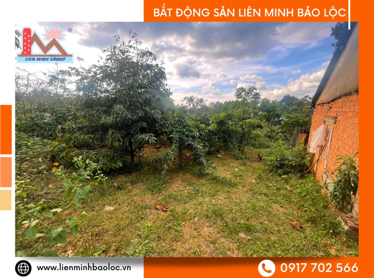 Bán đất sân vườn nghỉ dưỡng Bảo Lộc