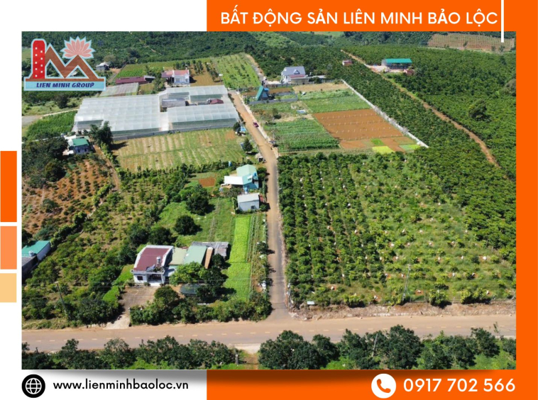 Bất động sản trung tâm Lộc Sơn giá rẻ