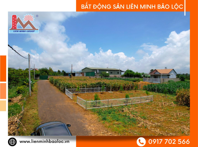 Bất động sản Lộc Tiến Bảo Lộc giá rẻ