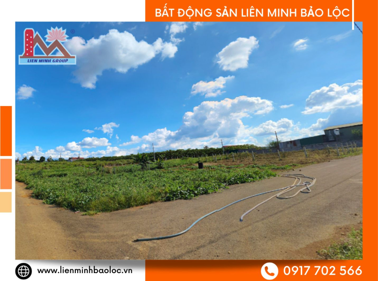 Bán đất thổ cư Bảo Lộc giá rẻ