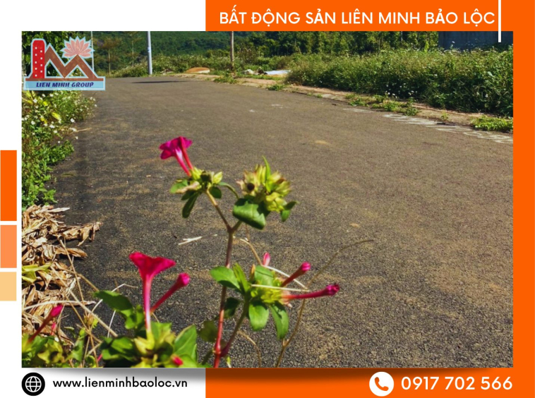 Bán đất Lộc An Bảo Lộc giá rẻ