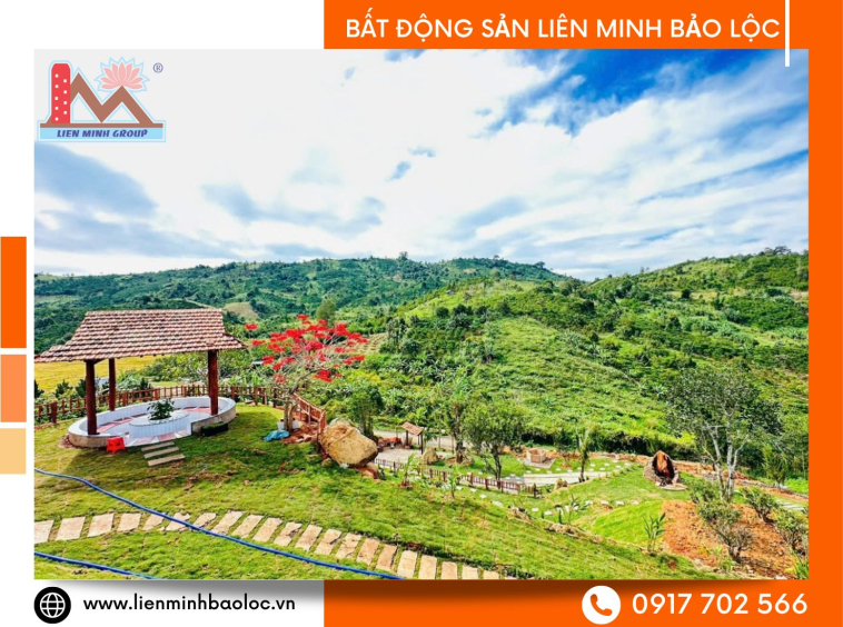 Bán nhà mô hình kinh doanh Di Linh giá rẻ
