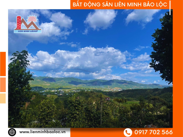 BLD929-Bán Đất Vườn Sẵn Thổ Cư Bảo Lộc