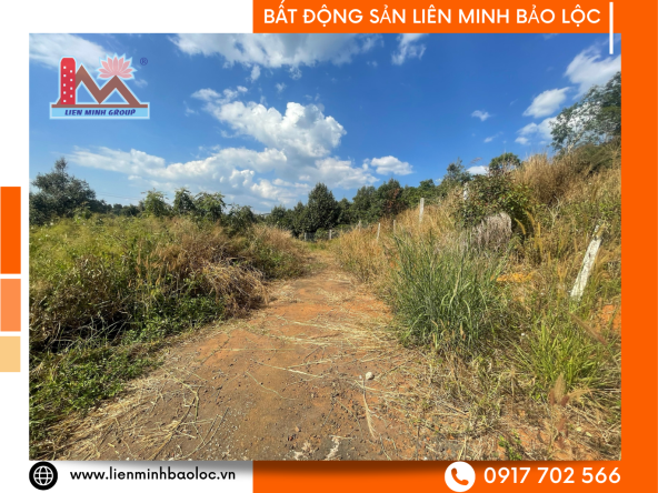 BLD914 Bán Đất Phường 2 Bảo Lộc - Phan Đình Phùng